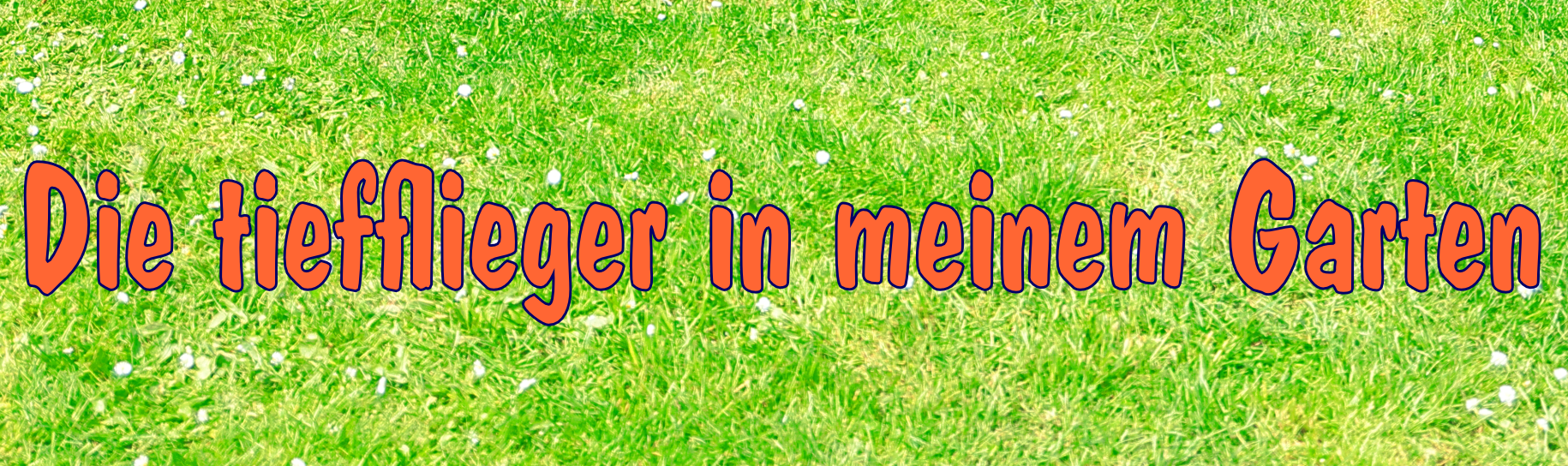 Gartenvögel in meinem Garten Kernbeißer, Sperber, Gimpel, Türkentaube, Eichelhäher, Grünfink, Buntspecht, Bluthänfling, Elster, Heckenbraunelle, Rotkehlchen, Stieglitz oder Distelfink, Kleiber, Blaumeise, Dohle, Kohlmeise, Ringeltaube, Star, Amsel, Haussperling oder Spatz